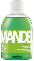 Kallos Mandula Illatú Sampon száraz és normál hajra 1000ml
