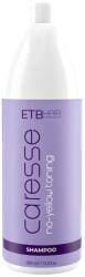  ETB Caresse No-Yellow Toning Sampon 1000 ml (EH05066)