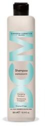 Diapason DCM SCALP Hajhullás elleni Sampon - Energizzante 300ml