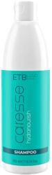  ETB Caresse Hydranourish Sampon 300 ml (EH05028)