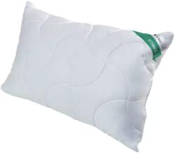 Inter-widex Párna 50x70cm BOTANICA ECO, TENCEL, fehér, 700g