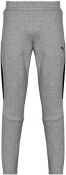 PUMA Pantaloni de trening Bărbați EVOSTRIPE CORE Pants Puma Gri US XL