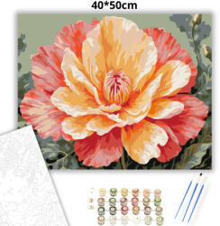  Aranyló bazsarózsa - számfestő készlet