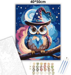  Mesés varázskalapos bagoly - számfestő készlet - 40×50 cm (Keretre feszítve)