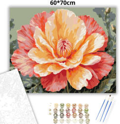  Aranyló bazsarózsa - számfestő készlet - 60×70 cm (Keretre feszítve)