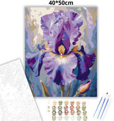  Fenséges írisz - számfestő készlet - 40×50 cm (Keretre feszítve)