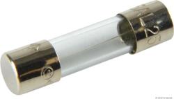 Herth+buss Elparts Siguranta fuzibila HERTH+BUSS ELPARTS 50295005 (50295005) - fixbox