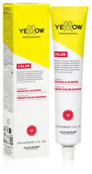 Yellow Professional Color Cream Vopsea de Păr Permanentă 100ml Culoare Vibrantă și Hidratare cu Ulei de Argan (YE029252)