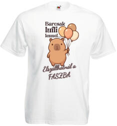  Bárcsak lufi lennél elszállhatnál a faszba - Proli Férfi Póló (229062)