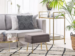 MAXISHOP Italia Collection Banca de depozitare ODESSA Catifea Gri