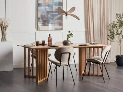 MAXISHOP Italia Collection Masa de dining LEANDRA Frasin deschis 200 cm 100 cm