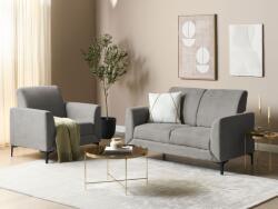 MAXISHOP Italia Collection Canapea cu 2 locuri FENES Gri Canapea
