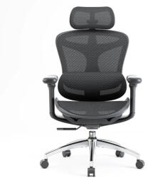 Sihoo Doro C300 Scaun de Birou cu Brațe Reglabile Black (DORO-C300L-A3-101)