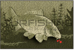 Delphin Szőnyeg Delphin CatchMe! PONTY 60x40cm (795000306)