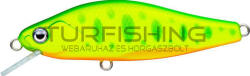 Evergreen EVERGREEN NELMEZZO 50FS 5.0cm 5gr #20 LIME CHART YAMAME (EG146847)