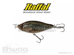 Biwaa GLIDER RAFFAL 4" S 10cm 43gr 40 Pike (B001602) - turfishing