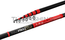 Delphin TELEPIKES 6m/85g (101000556) - turfishing