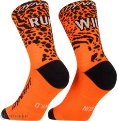 Dynafit RUN WILD CREW SK zoknik, ultra orange (EU 39-42)