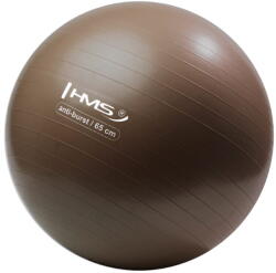 Hms Fitness labda, YB02N, 65cm, csúszásmentes, barna, pumpás készlet (17-42-175)