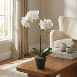  Műnövény dekoráció - orchidea - 2 féle - 54 cm 11918 (11918) - tutiar