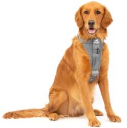 Kurgo Smart Tru-Fit - L - Töréstesztelt Autós Kutyahám - Megnövelt Szilárdságú - Szürke (POG30-17579)