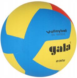 Gala 5655 S Röplabda Edző 230g Méret 5 (418)