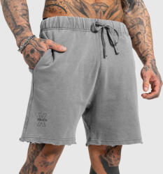 Iron Aesthetics Férfi rövidnadrág Iron Aesthetics X Washed, szürke: S Szürke
