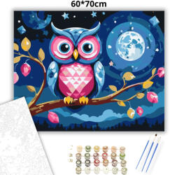  Csillagos éji bagoly - számfestő készlet - 60×70 cm (Keret nélkül)