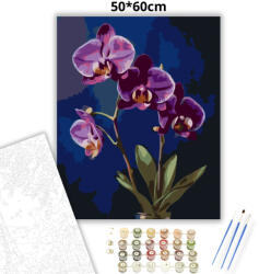  Éjféli orchideák - számfestő készlet - 50×60 cm (Keretre feszítve)