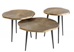 IV Interior Concept Set de 3 masute design unicat Organic (A-42247 VC) Masa de cafea