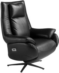 AC Atelier Fotoliu design LUX cu functia relax Cowhide Black leather (AC 5124)