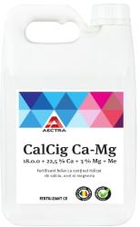 Aectra CalCig Ca-Mg