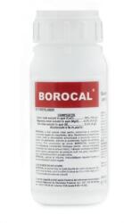 Codiagro Ingrasaminte Borocal