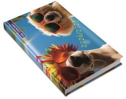 Realsystem Diák zsebkönyv, heti, 2026/2027 tanév, REALSYSTEM, summer (NAT531369U)