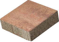 Petra Pavaje Pavaj PETRA Premium Mediterana Rosa 20x20x6 cm (1027)