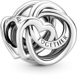 PANDORA Moments 791507C00 Család mindörökké charm (Ag 925/1000, 2, 23 g)