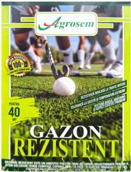Agrosem Seminte Gazon REZISTENT - 1 kg (PR-104189)