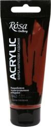 Rosa Gallery АКРИЛНА боя Burnt Sienna (642) 60 ml 1 бр (3241642)