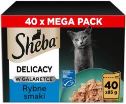 Sheba Delicacy Halas ízek zselében 40x85 g nedves macskaeledel