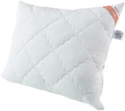 Inter-widex Párna 60x60 CLASSIC COMFORT Senna Home, fehér (SHCLPCC60x60B700g)