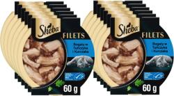 Sheba SHEBA Filets nedves macskaeledel tonhallal szószban 12x60g