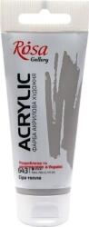 Rosa Gallery Akril festék Warm Gray (643) 60 ml 1 db (3241643)
