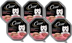 Cesar CESAR tál 6x150 g - teljes értékű nedves eledel felnőtt kutyáknak, terrine puha borjúhússal és baromfival
