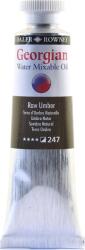 Daler Rowney Georgian Vopsea cu ulei Raw Umber 37 ml 1 buc (<![CDATA[119037247]]>)