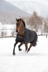 Bucas Irish Turnout 150 fekete/arany - 155 cm