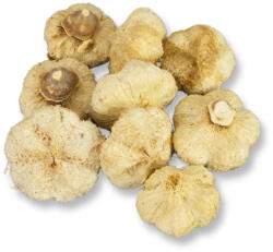  Termés fokhagyma kb 30g/csom