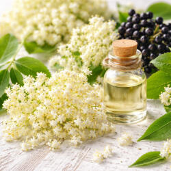  Bodza illatolaj 100ml