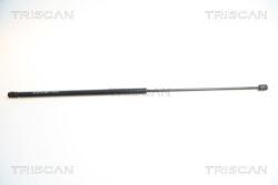 TRISCAN Amortizor capota TRISCAN 8710 65103 (8710 65103) - automobilus