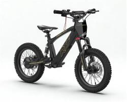Energy Adventure Push 16 Pro Racing