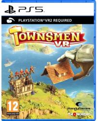 THQ Nordic Townsmen VR2 (PS5)